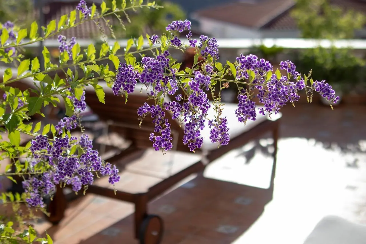 Malaga Hills Double Comfort Boutique & Wellness Eco-Hotel -Adults Only- Cómpeta 0*,